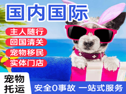 福成航空快递国际宠物托运 【国